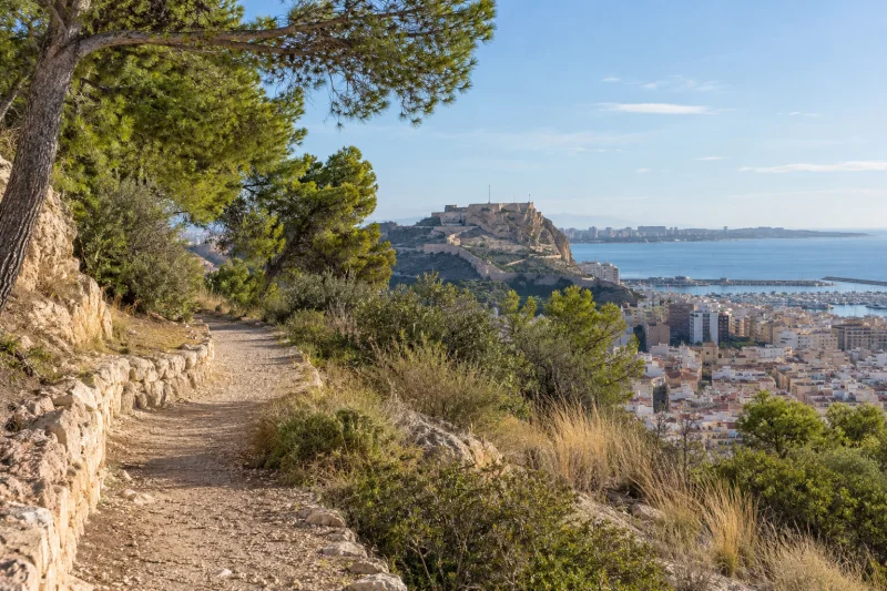 Sendero de tierra y piedra entre pinos en una ladera, con Alicante y la bahía al fondo.